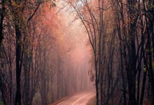 亚博体育：小法切蒂：图-劳组合传承父亲领袖气质 小因稳定更衣室功不可没.