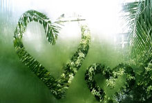 亚博体育：中国女排新任主帅选聘工作启动新华网.