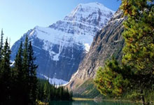 [图]张之臻2-3不敌13号种子鲁内 止步澳网男单首轮.